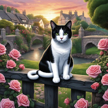 Load image into Gallery viewer, Cat-Full Round Diamond Painting-30x30cm
