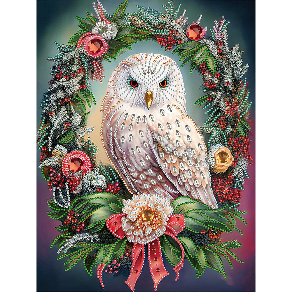 Christmas Owl Wreath-Partial Special Diamond Painting-30x40cm