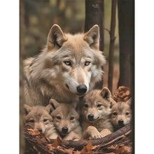 Load image into Gallery viewer, Wolf-Full Round Diamond Painting-30x40cm
