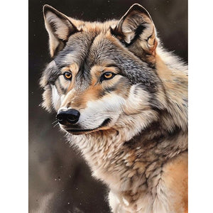 Wolf-Full Round Diamond Painting-30x40cm