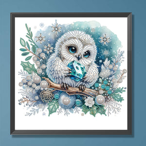 Owl-Partial Special Diamond Painting-30x30cm