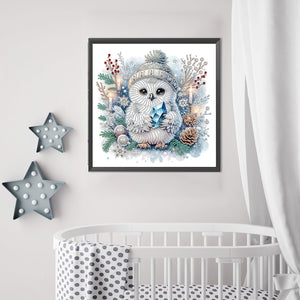 Owl-Partial Special Diamond Painting-30x30cm