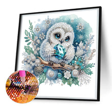 Load image into Gallery viewer, Owl-Partial Special Diamond Painting-30x30cm
