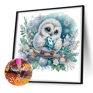 Owl-Partial Special Diamond Painting-30x30cm