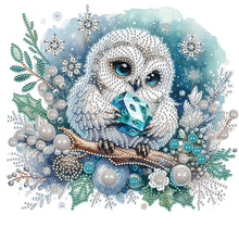 Load image into Gallery viewer, Owl-Partial Special Diamond Painting-30x30cm
