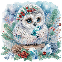 Load image into Gallery viewer, Owl-Partial Special Diamond Painting-30x30cm
