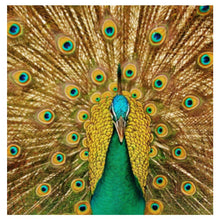 Load image into Gallery viewer, Peacock Bedroom - Full Drill Diamond Painting
