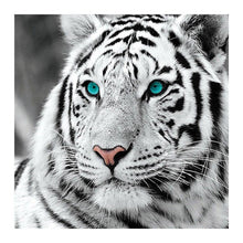 Load image into Gallery viewer, Tiger - Full Drill Diamond Painting
