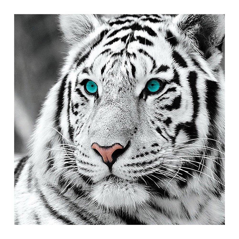 Tiger - Full Drill Diamond Painting