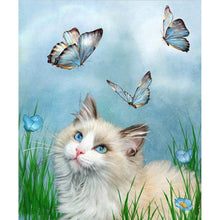 Load image into Gallery viewer, Cat Butterfly - Full Drill Diamond Painting
