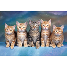 Load image into Gallery viewer, Cats - Full Drill Diamond Painting
