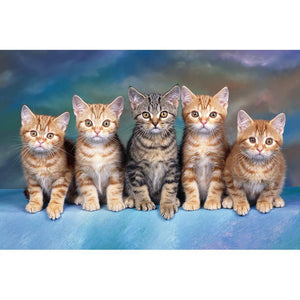 Cats - Full Drill Diamond Painting