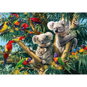 Koala and parrots - Full Drill Diamond Painting