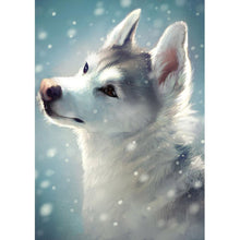 Load image into Gallery viewer, Wolf - Full Drill Diamond Painting
