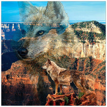 Load image into Gallery viewer, Wolf - Full Drill Diamond Painting
