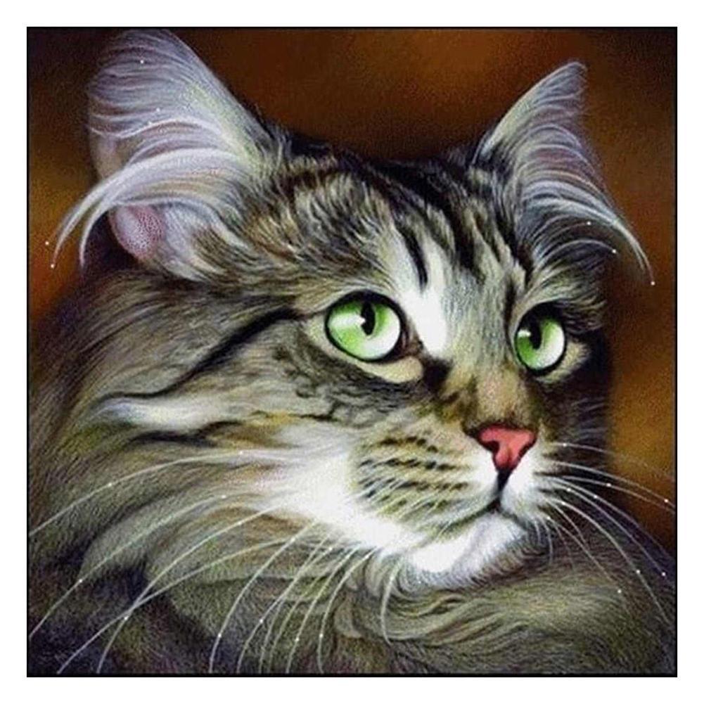 Cat - Full Drill Diamond Painting