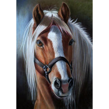 Load image into Gallery viewer, Horse - Full Drill Diamond Painting
