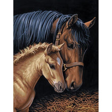 Load image into Gallery viewer, Horse  - Full Drill Diamond Painting
