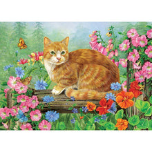 Load image into Gallery viewer, Cat - Full Drill Diamond Painting
