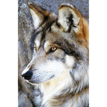 Load image into Gallery viewer, Wolf - Full Drill Diamond Painting
