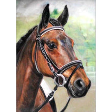 Load image into Gallery viewer, Horse - Full Drill Diamond Painting
