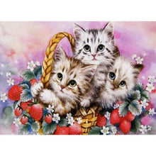 Load image into Gallery viewer, Lovely Little Cats - Full Drill Diamond Painting
