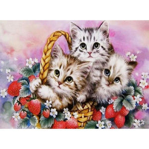 Lovely Little Cats - Full Drill Diamond Painting