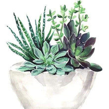 Load image into Gallery viewer, Succulent Plant  - Full Drill Diamond Painting
