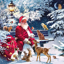 Load image into Gallery viewer, Santa Claus - Full Drill Diamond Painting
