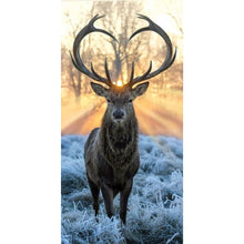 Load image into Gallery viewer, Deer-Full Drill Diamond Painting-40x80cm
