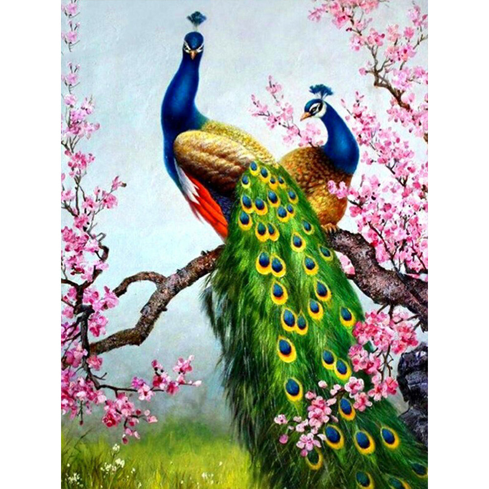 Peacock-Full Round Diamond Painting-30x40cm