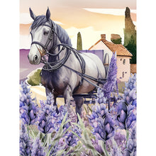 Load image into Gallery viewer, Lavender-Full Round Diamond Painting-30x40cm
