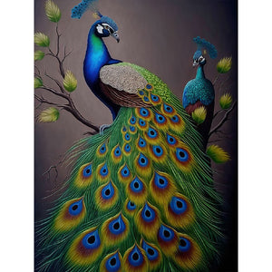 Peacock-Full Round Diamond Painting-30x40cm